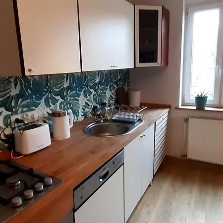 Lemuria Z Lazienka Szkolna * Legnica