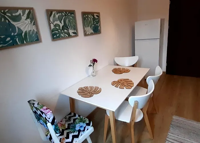 Hostel Lemuria Z Lazienka Szkolna Legnica