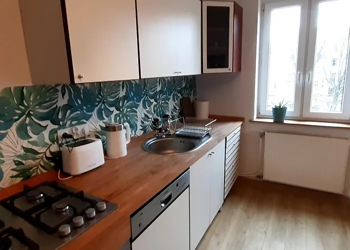 Lemuria Z Lazienka Szkolna * Legnica